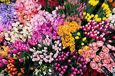 《心灵杀手3》？Remedy表示会继续发展该系列