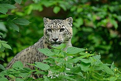 多款PSV和PS3《传说》游戏被从欧美商店下架