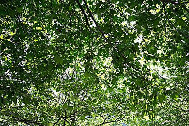 《无双大蛇2终极版》正式登陆Steam 包含大量追加要素