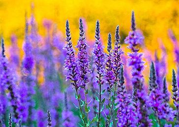 《死亡空间：重制版》新实机演示10月4日公开